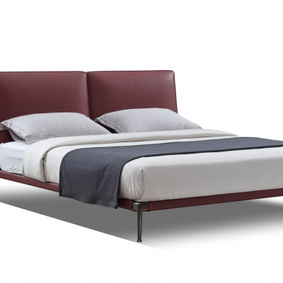 Modern Minimalist Bed Park Simple Design Bed